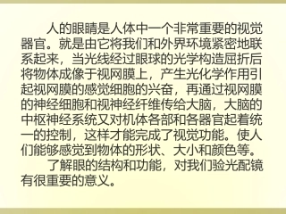 眼球的结构与功能
