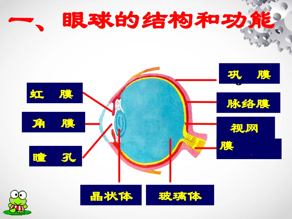眼和视觉(郎)_第2页