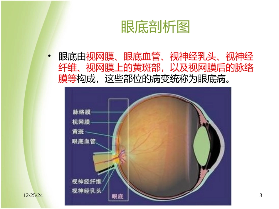 眼底病部分详解_第3页