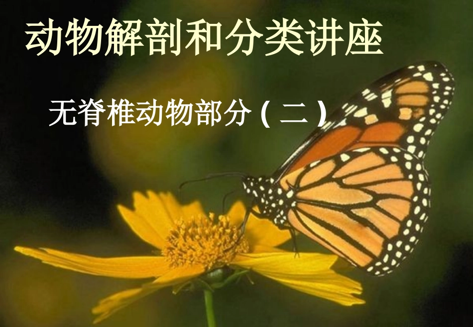 省竞赛辅导--动物分类2_第1页