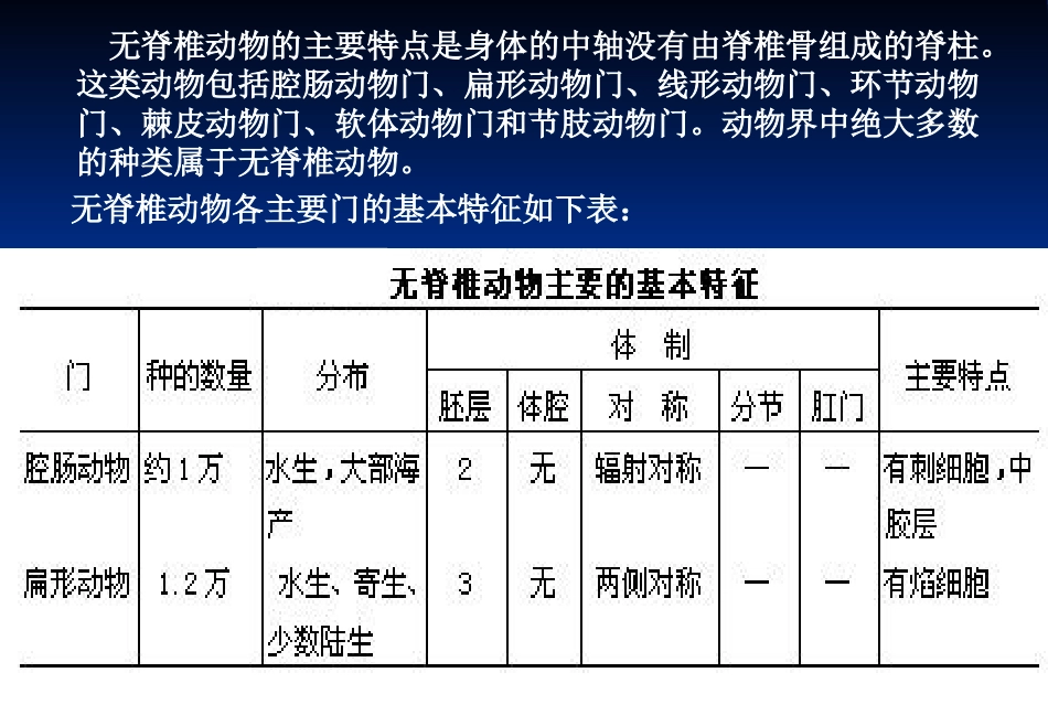 省竞赛辅导--动物分类2_第2页