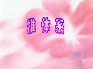 皮质脊髓束课件