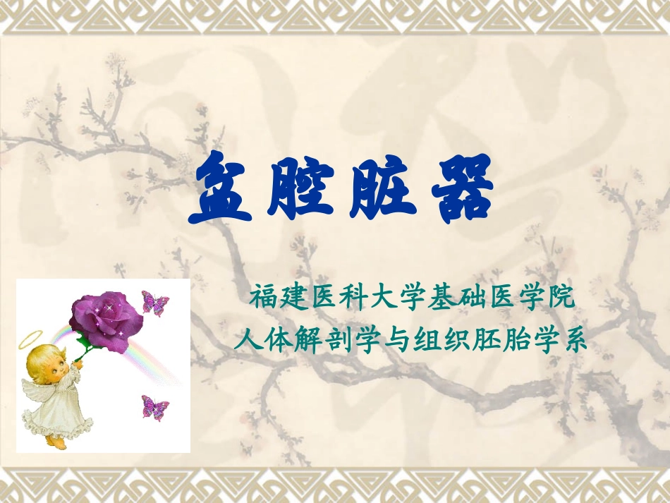 盆腔脏器(1)_第1页