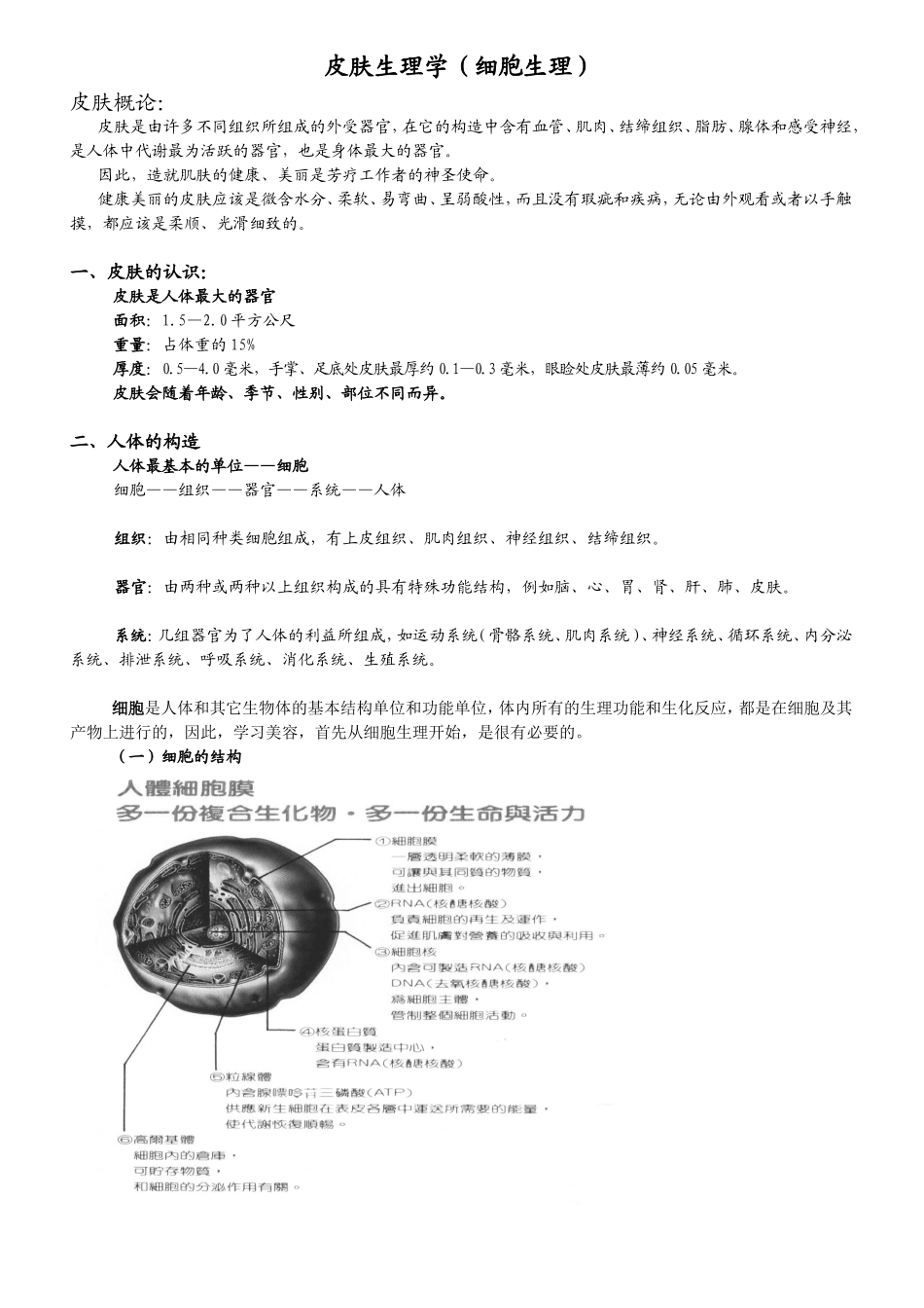 皮肤生理学(1)_第1页