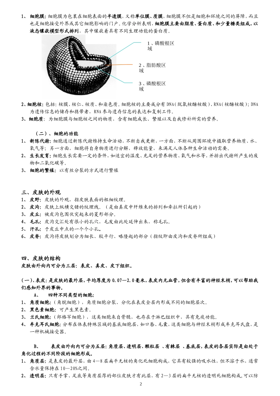 皮肤生理学(1)_第2页