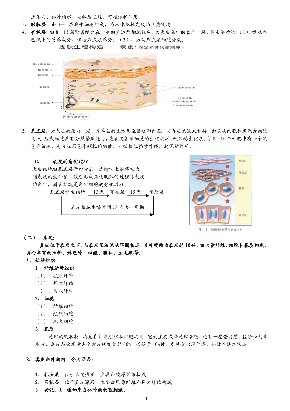皮肤生理学(1)_第3页