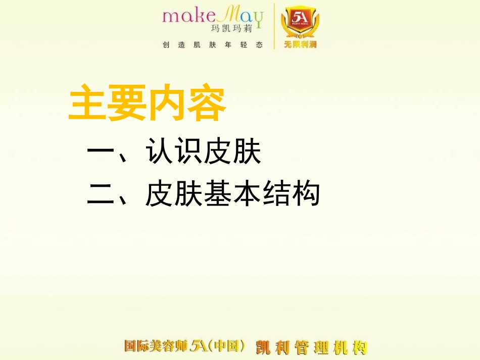 皮肤基础知识_第2页