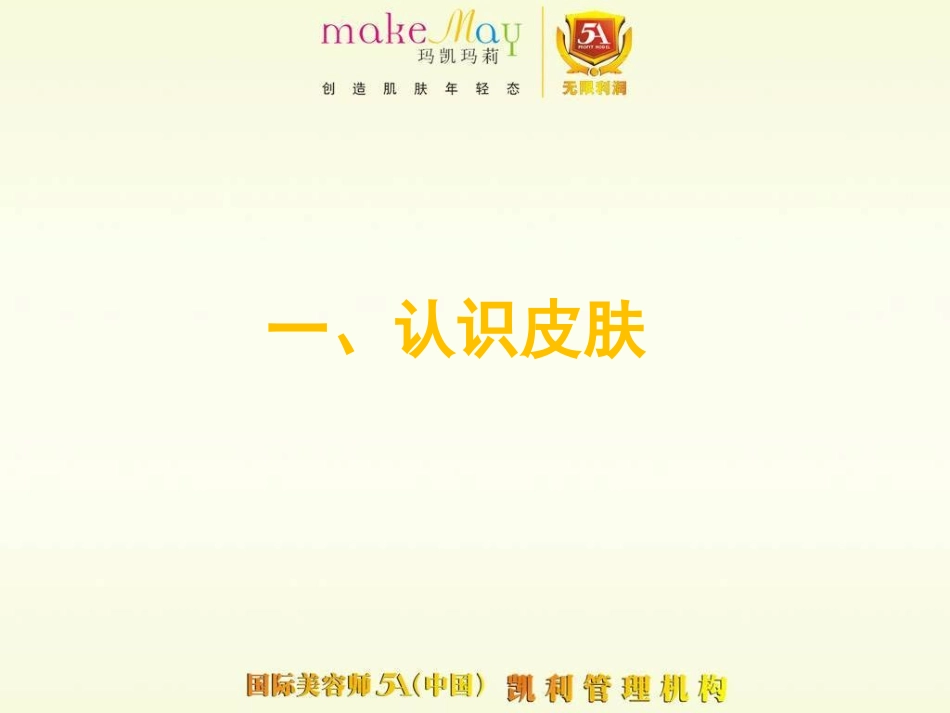 皮肤基础知识_第3页