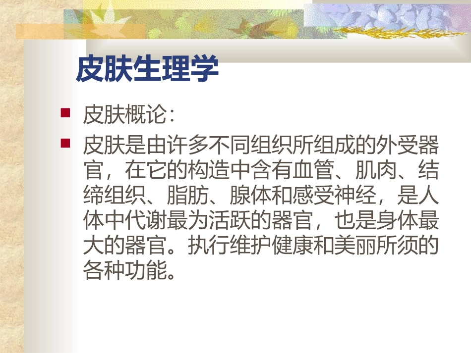 皮肤专业知识(理论)_第2页