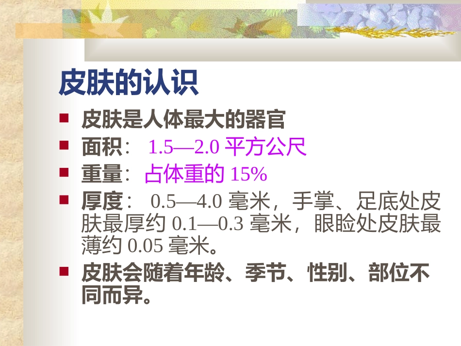 皮肤专业知识(理论)_第3页