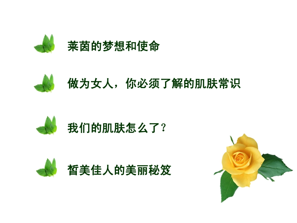 皙美佳人产品_第2页