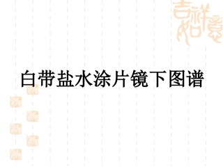 白带盐水涂片镜下图谱