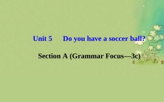 七年级英语上册Unit5Doyouhaveasoccerball？SectionA（GrammarFocus—3c）课件（新版）人教新目标版