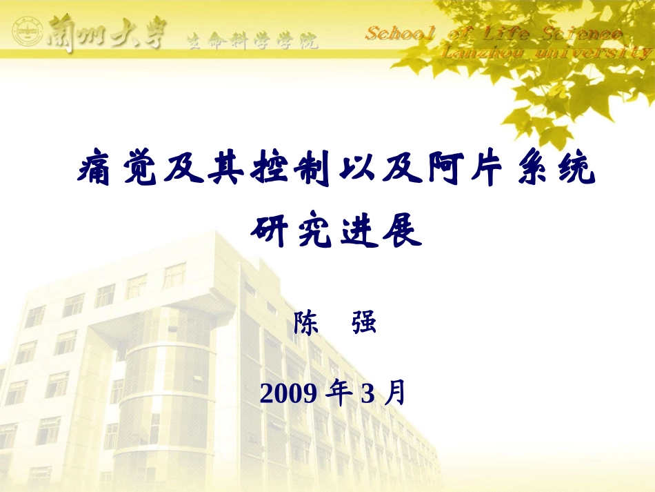 痛觉研究与阿片系统_第1页