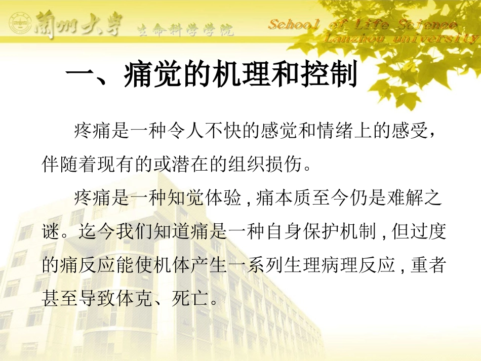 痛觉研究与阿片系统_第2页