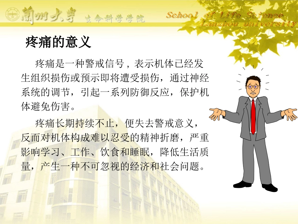痛觉研究与阿片系统_第3页