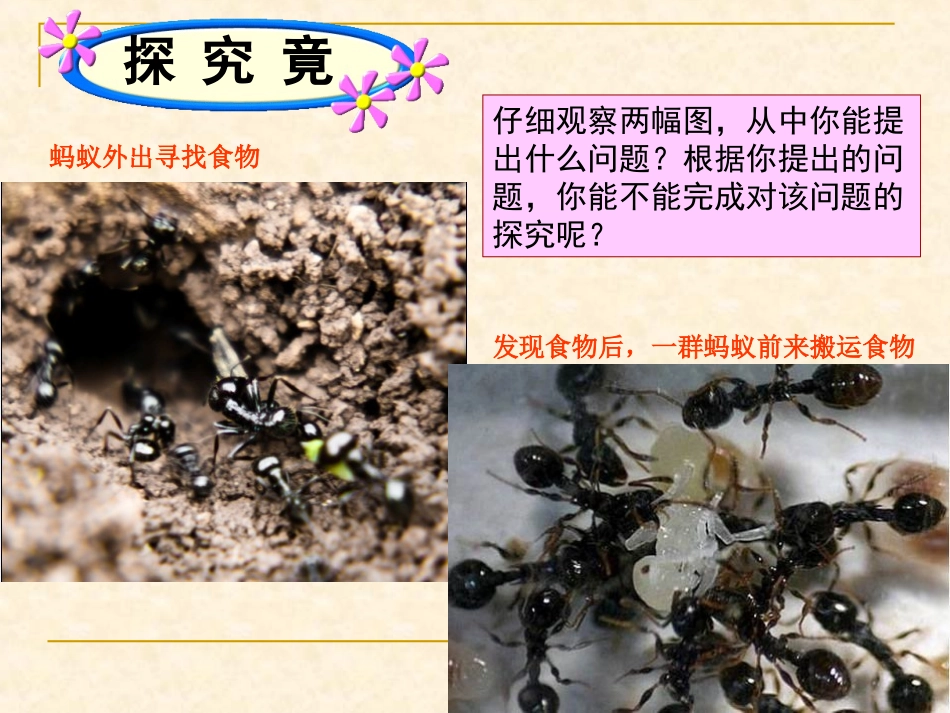 行为类型定稿_第3页