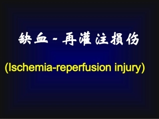 病理生理学缺血再灌注损伤