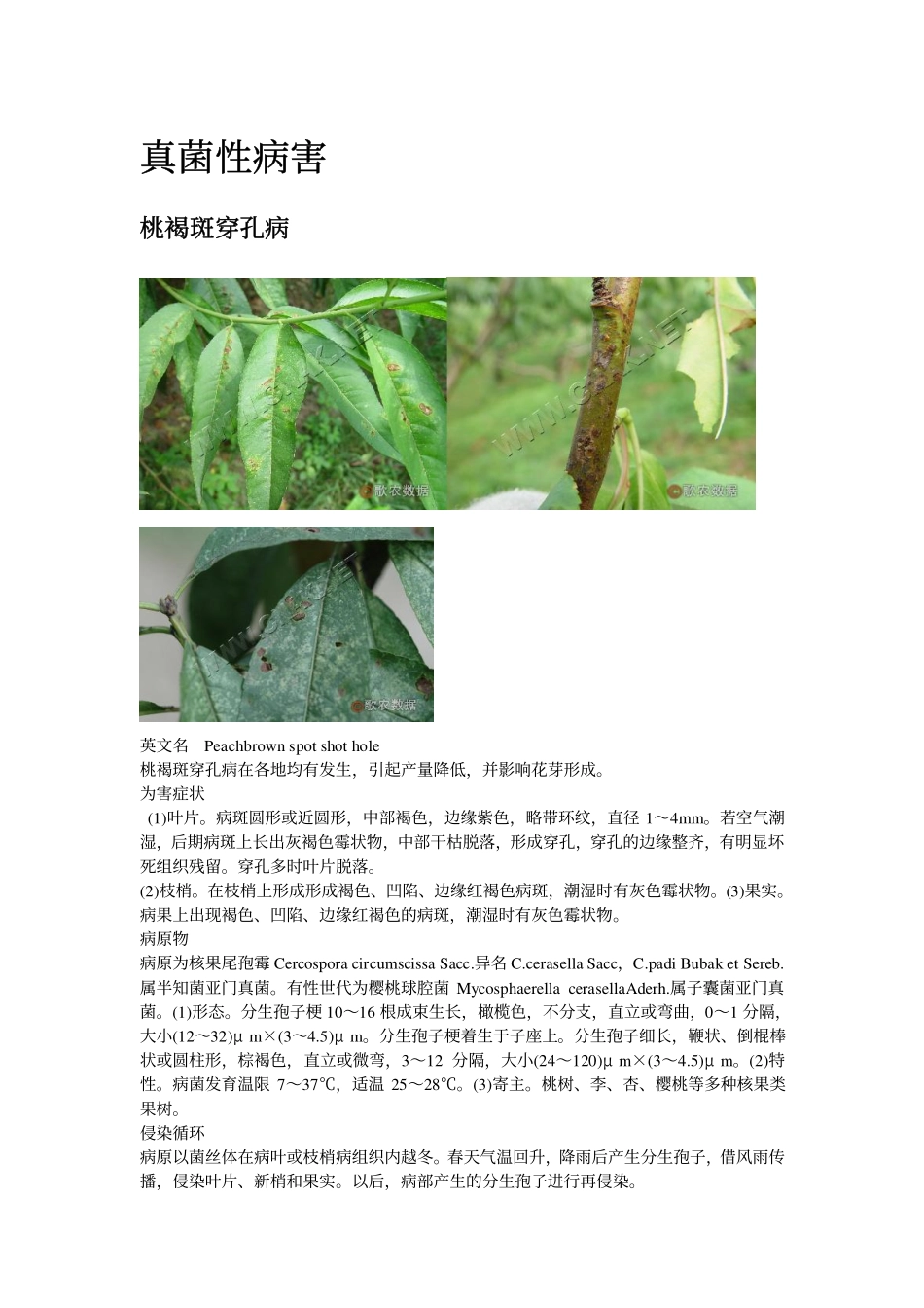 病害原色图谱_第2页