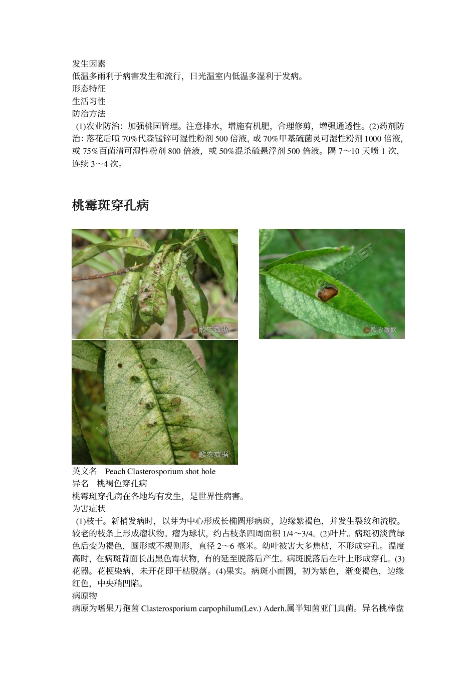 病害原色图谱_第3页