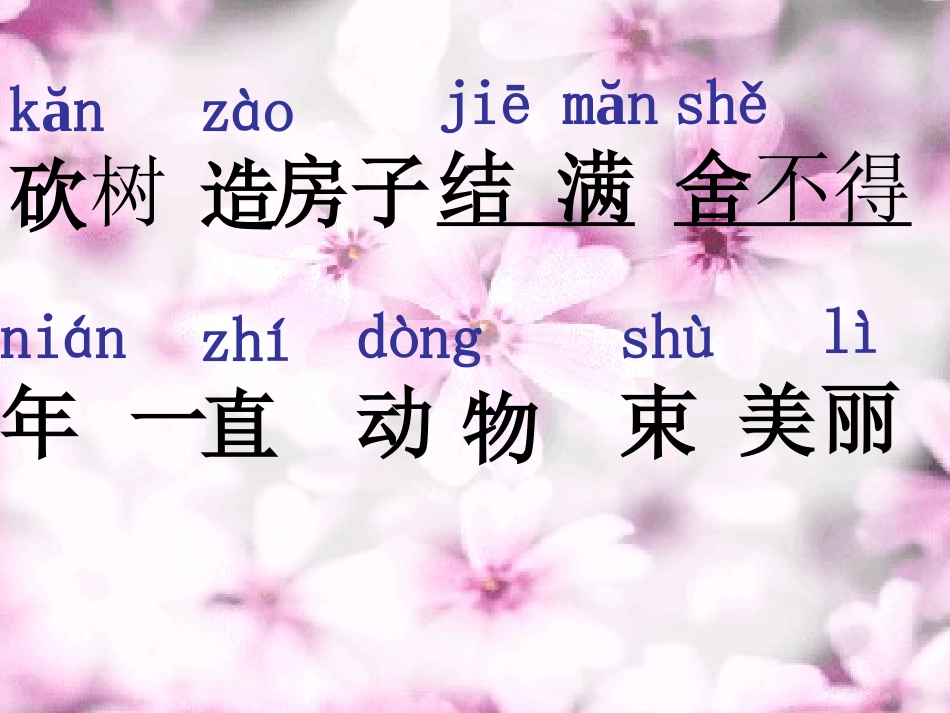 《小熊住山洞》课件_第2页