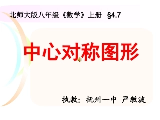 中心对称图形（广昌定稿）