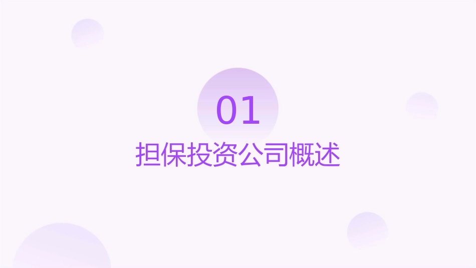 某担保投资公司业务基础知识与业务创新课件_第3页
