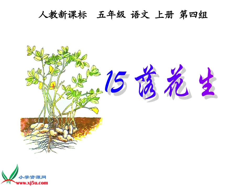 落花生乐首二_第2页