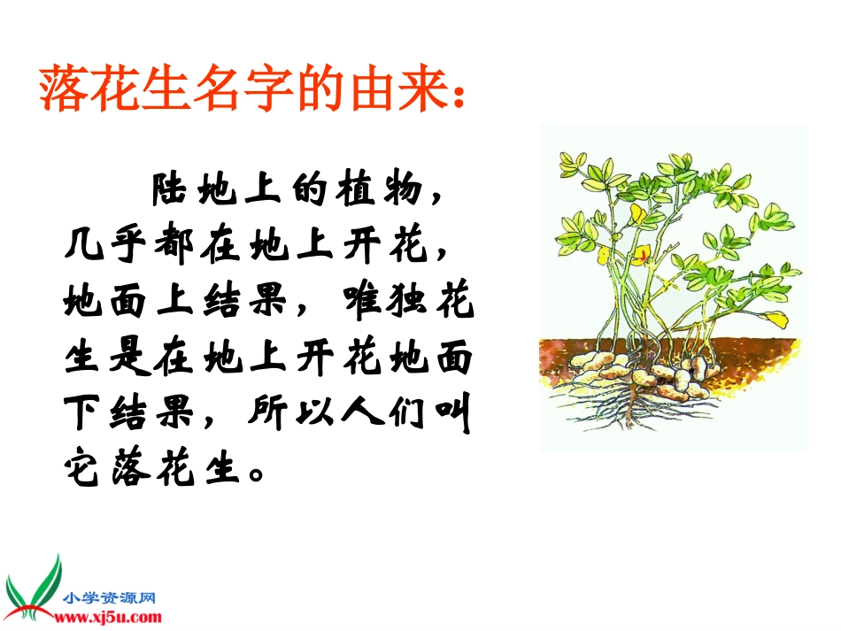 落花生乐首二_第3页