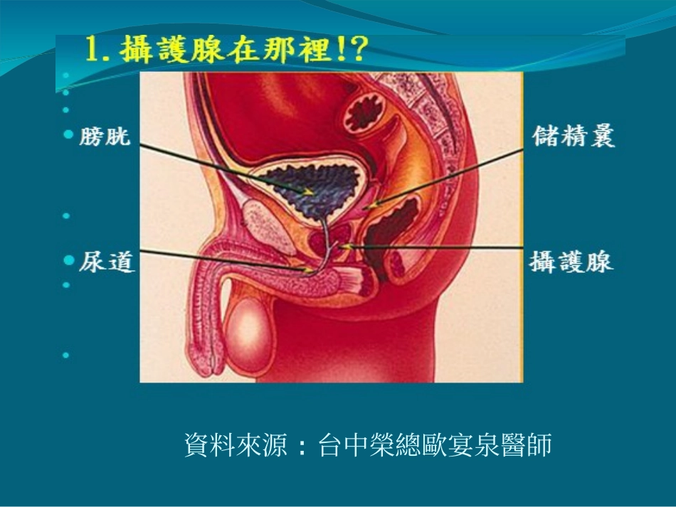 男人保住摄护腺基本认识汇编_第3页