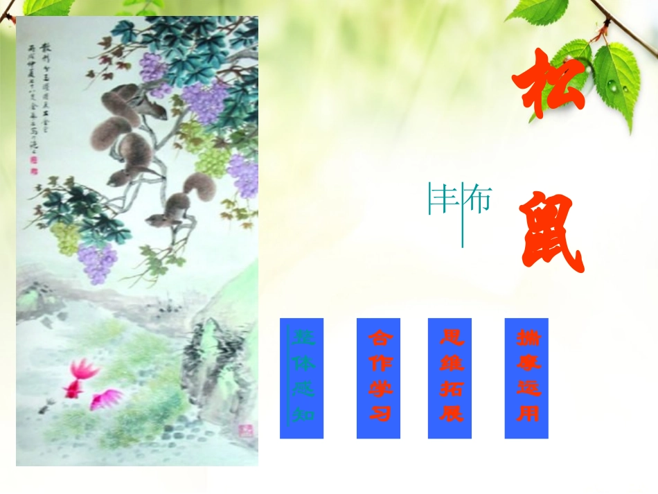 五语上册《松鼠》_第3页