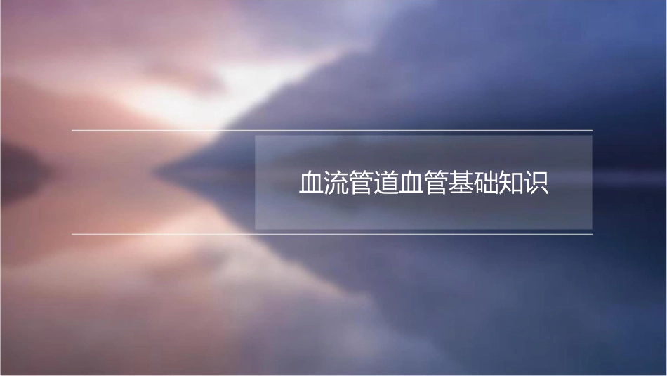 血流管道血管课件_第3页