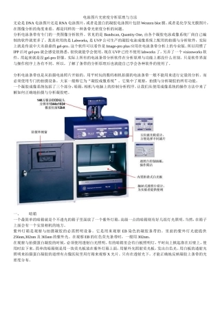 电泳条带的光密度分析原理