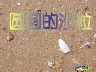 圆圆的沙粒第一课时