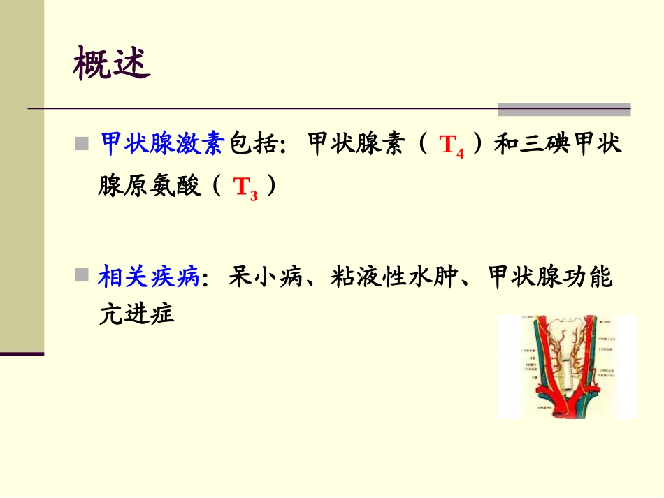甲状腺胰岛素_第2页