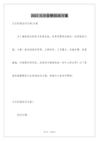 2024元旦促销活动方案_16