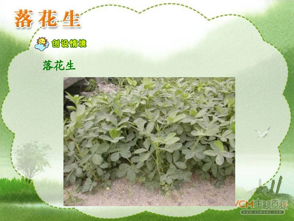 《15落花生》课件1（人教版五年级上册）_第3页