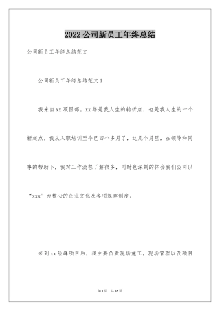 2024公司新员工年终总结