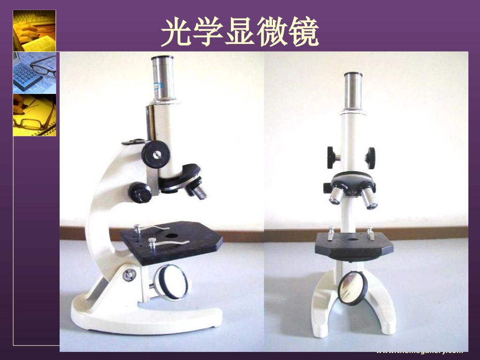 用显微镜观察洋葱表皮细胞_第3页