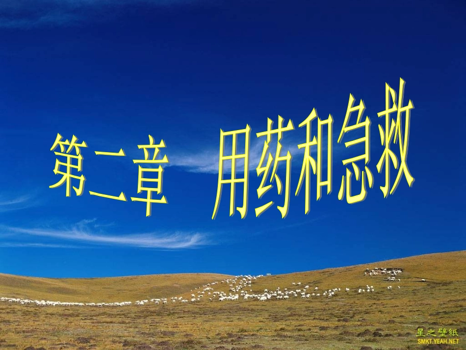 用药与急救pt_第2页