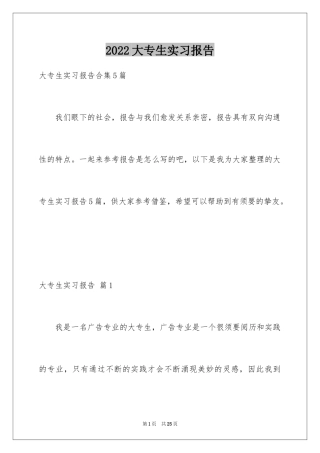 2024大专生实习报告_2