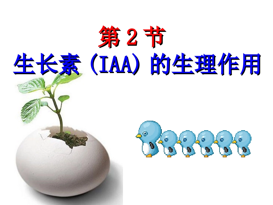 生长素的生理作用---副本_第1页