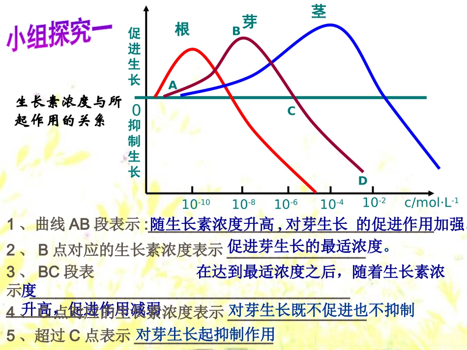 生长素生理作用_第3页