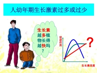 生长素生理作用
