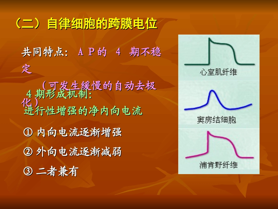 生理血液循环2_第1页