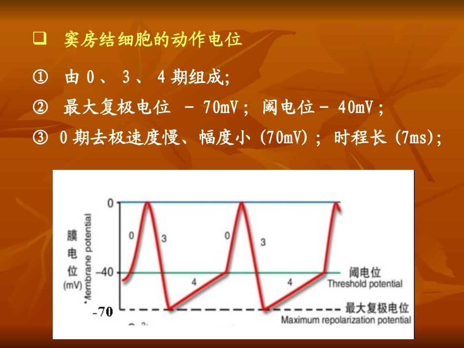生理血液循环2_第2页