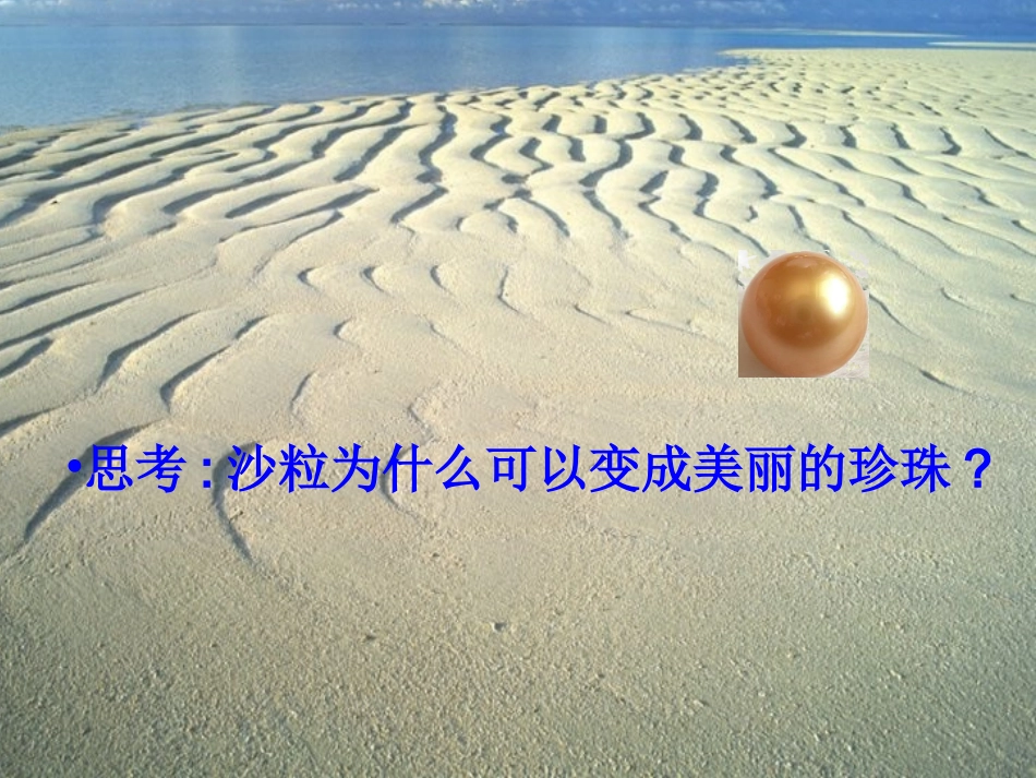 圆圆的沙粒第二课时_第2页