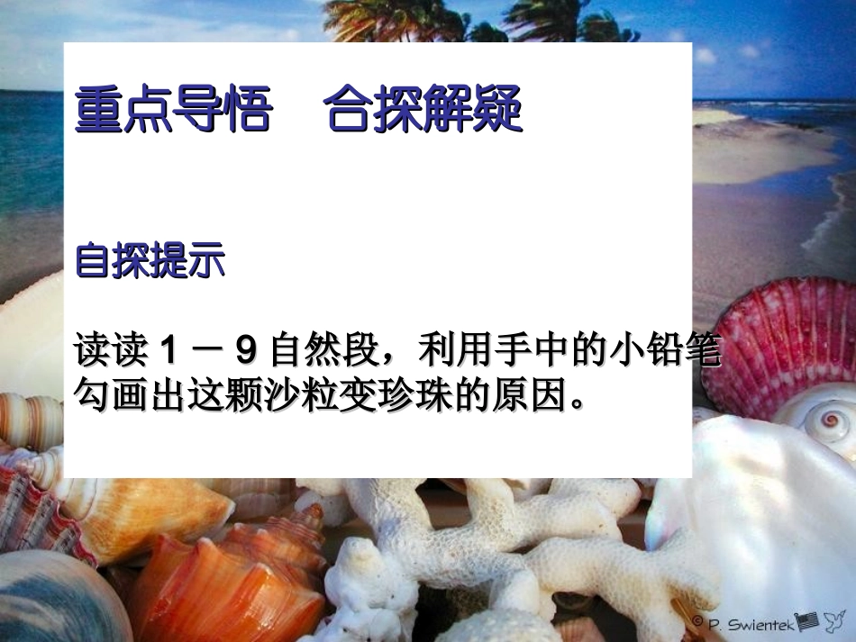 圆圆的沙粒第二课时_第3页