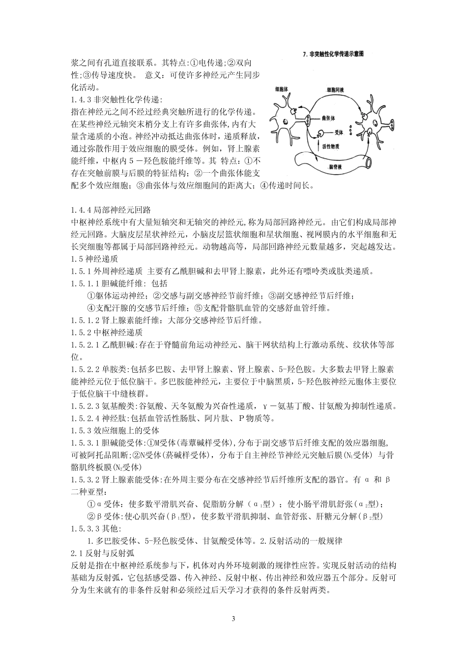 生理学神经系统 详细教案_第3页