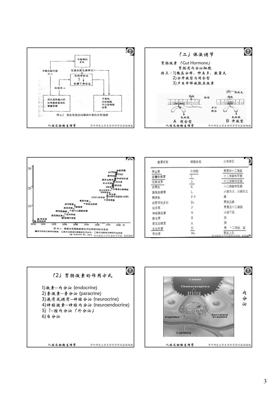 生理学_消化与吸收_第3页
